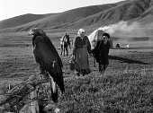 Небо нашего детства (2005)