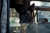 Узы (2019)