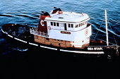Вирус (1999)