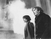 Волки (1981)