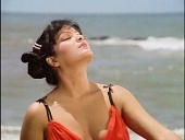 Весы правосудия (1980)