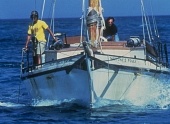 Челюсти 4: Месть (1987)