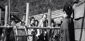 Самурай-волк (1966)