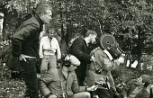 Серая мышь (2008)
