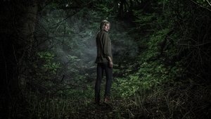 Лес (2017)
