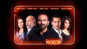 Беглец (2013)