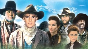 Одинокий голубь: Возвращение (1993)