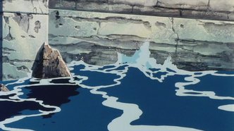 Виндария (1986)