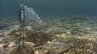 Беттермен (1999)