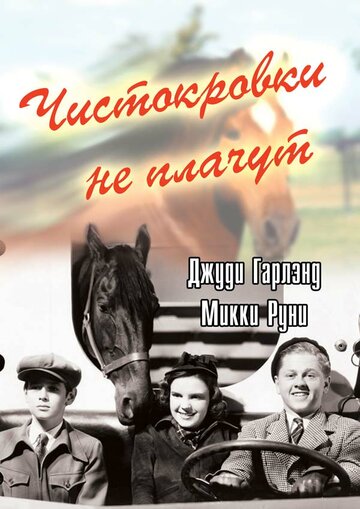 Смотреть Чистокровки не плачут онлайн в HD качестве 720p
