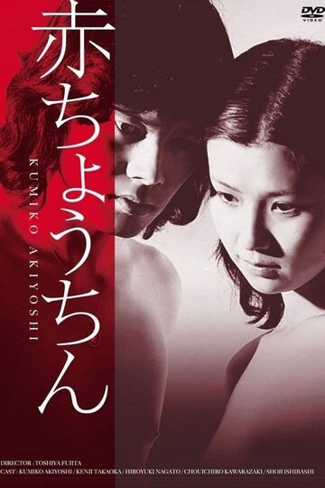 Смотреть Красный фонарь онлайн в HD качестве 720p