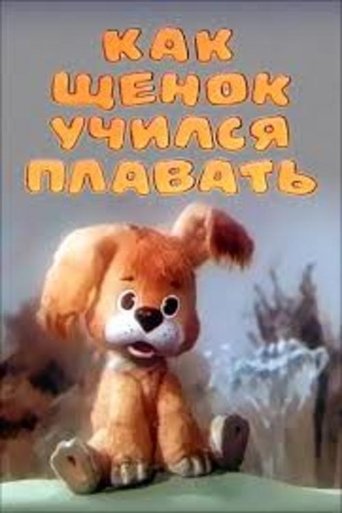 Смотреть Как щенок учился плавать онлайн в HD качестве 720p