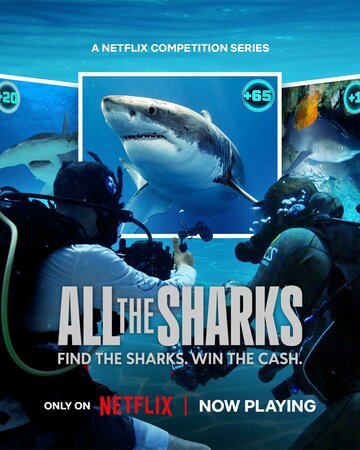 Смотреть Все акулы онлайн в HD качестве 720p