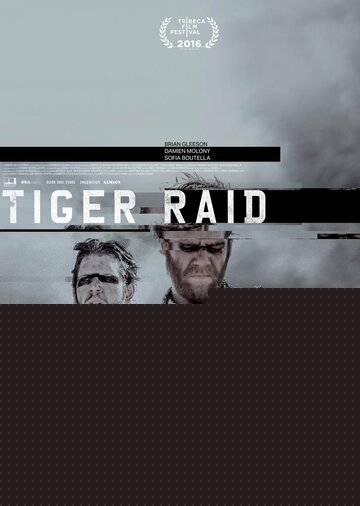 Смотреть Рейд тигров онлайн в HD качестве 720p
