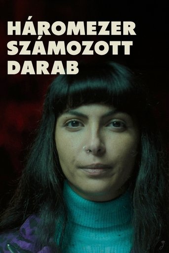 Смотреть Три тысячи пронумерованных деталей онлайн в HD качестве 720p