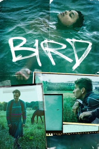 Смотреть Птица онлайн в HD качестве 720p