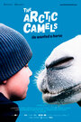 Смотреть Мой друг северный верблюд на HDrezka онлайн в HD качестве 720p