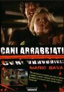 Смотреть Дикие псы на хдрезка онлайн в HD качестве 720p