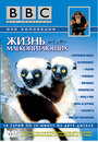 Смотреть BBC: Жизнь млекопитающих онлайн в HD качестве 720p