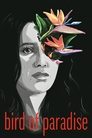 Смотреть Райская пташка на хдрезка онлайн в HD качестве 720p