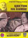 Смотреть Цветок на камне на HDrezka онлайн в HD качестве 720p