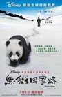 Смотреть След панды на хдрезка онлайн в HD качестве 720p