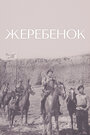 Смотреть Жеребенок на хдрезка онлайн в HD качестве 720p