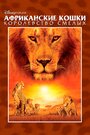 Смотреть Африканские кошки: Королевство смелых онлайн в HD качестве 