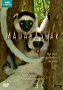 Смотреть BBC: Мадагаскар на HDrezka онлайн в HD качестве 720p