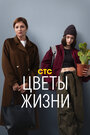 Смотреть Цветы жизни на хдрезка онлайн в HD качестве 720p