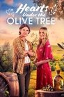 Смотреть Любовь в оливковой роще на хдрезка онлайн в HD качестве 720p