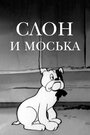 Смотреть Слон и Моська на хдрезка онлайн в HD качестве 720p