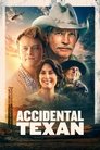 Смотреть Техасец по случайности на HDrezka онлайн в HD качестве 720p