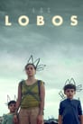 Смотреть Волки на хдрезка онлайн в HD качестве 720p