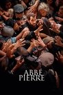 Смотреть Аббат Пьер на хдрезка онлайн в HD качестве 720p