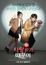 Смотреть Потому что я тебя люблю на хдрезка онлайн в HD качестве 720p