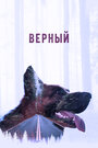 Смотреть Верный на хдрезка онлайн в HD качестве 720p