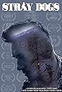 Смотреть Бродячие псы на HDrezka онлайн в HD качестве 720p