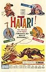 Смотреть Хатари! на HDrezka онлайн в HD качестве 720p
