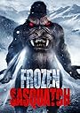 Смотреть Снежный человек во льдах на хдрезка онлайн в HD качестве 720p
