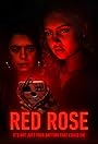 Смотреть Красная роза на хдрезка онлайн в HD качестве 720p