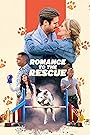 Смотреть Дрессировка любви на хдрезка онлайн в HD качестве 720p