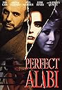 Смотреть Идеальное алиби на хдрезка онлайн в HD качестве 720p