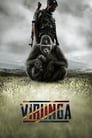 Смотреть Вирунга на хдрезка онлайн в HD качестве 720p