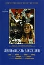 Смотреть Двенадцать месяцев на хдрезка онлайн в HD качестве 720p