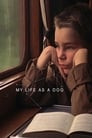Смотреть Моя собачья жизнь на хдрезка онлайн в HD качестве 720p