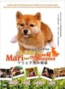 Смотреть История Мари и трех щенков на хдрезка онлайн в HD качестве 720p