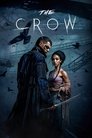 Смотреть Ворон на хдрезка онлайн в HD качестве 720p