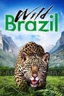 Смотреть Дикая Бразилия на хдрезка онлайн в HD качестве 720p