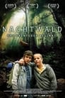 Смотреть Темный лес на хдрезка онлайн в HD качестве 720p